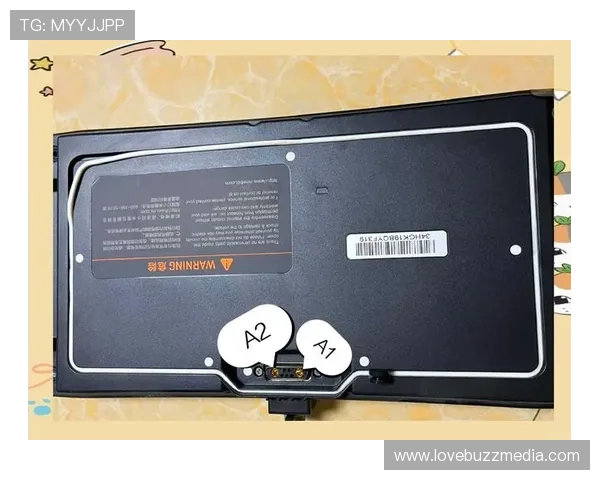 凯发网网站会员注册流程详细步骤,助你快速完成账号注册与激活